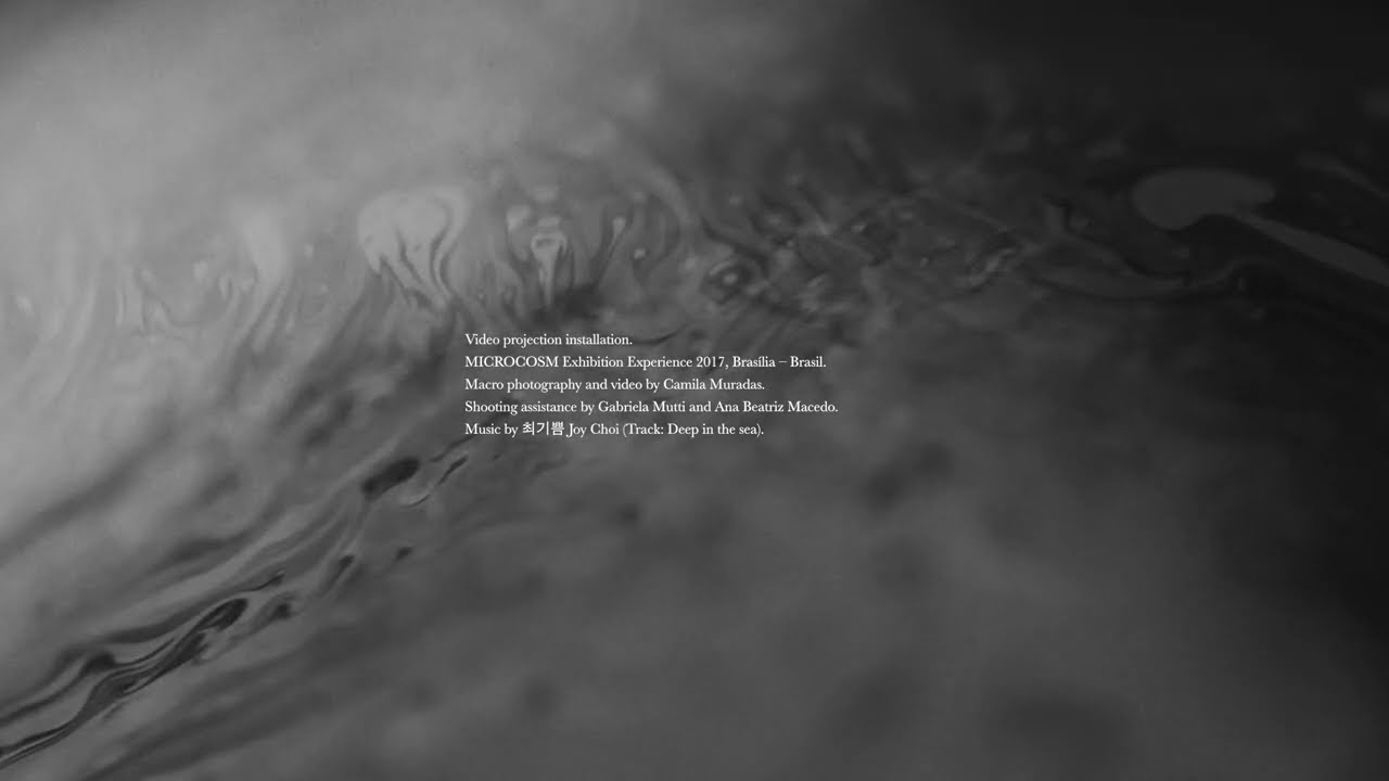 MICROCOSM: Exhibition Experience – Video Installation.