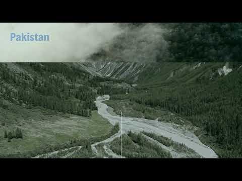 Video in Dark Green White Simple and Minimal Simple and Minimal Style