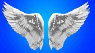 Healing angel wings - Music to help you relax and heal