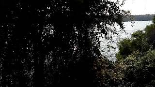 preview picture of video 'Paravur lake Kollam Kerala'