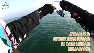 Download lagu Mancing di Dam Merah Semarang Strike Full Babon ll Mancing Semarang mp3