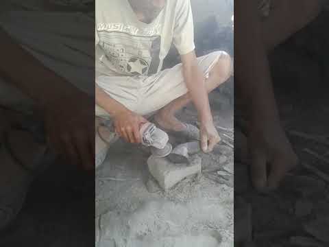 Beberapa kacang-kacangan peningkatan potensi Penis kecil ke dalam vagina