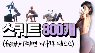 스쿼트 800개 챌린지 (feat. 어쩌면 지구력 테스트)