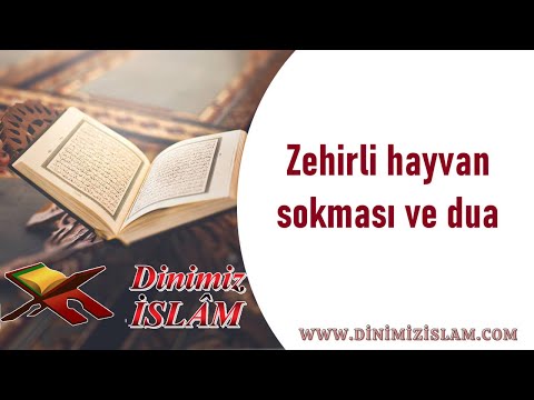 Zehirli hayvan sokması ve dua | Dinimiz islam