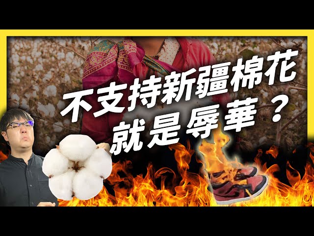 H&M 去年就拒用新疆棉花，中國戰狼為何現在才出征？《 左邊鄰居觀察日記 》 EP 040｜志祺七七