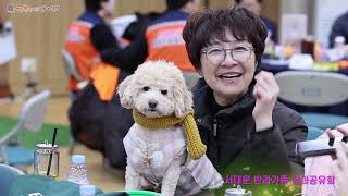 �����̹���