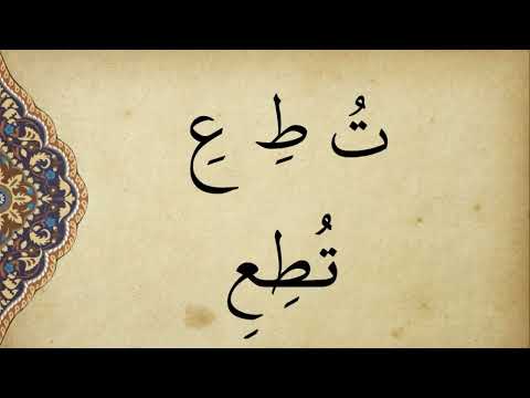 Elif - Be Dersleri 05 - Ötre (Damme) Mehmet Emin Yiğit