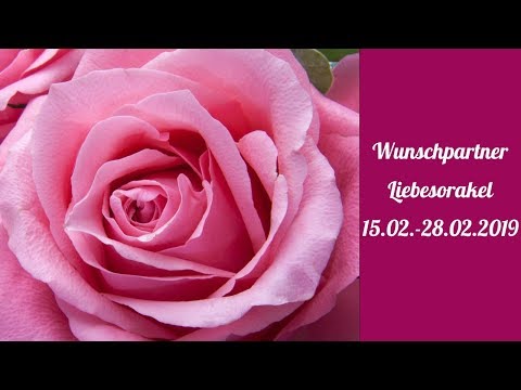 Wunschpartner Liebesorakel 15. 2. -   28.2. 2019