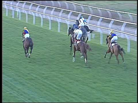 Galoppo 14/12/2016 - 3ª corsa