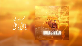 Naara-E-Haidari Music Video