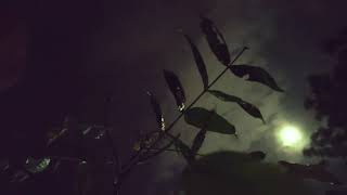 Download lagu TIADA YANG LAIN SINGKAT#SEMILIRNYA ANGIN MALAM INI mp3 Download lagu TIADA YANG LAIN SINGKAT#SEMILIRNYA ANGIN MALAM INI mp3