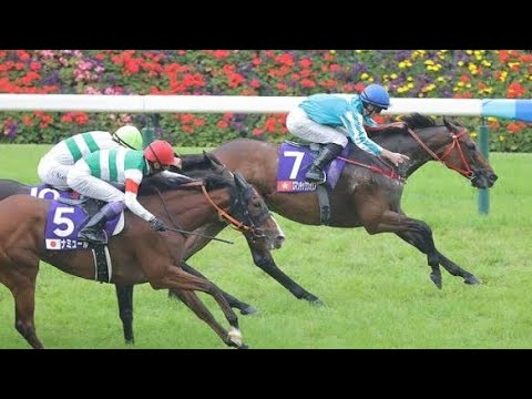 香港の英雄ロマンチックウォリアー、ついに現役引退…31戦24勝の伝説に幕 🐎💔