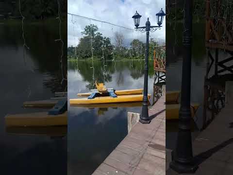 Conociendo mi bella provincia de Chiriquí, Distrito de Renacimiento.