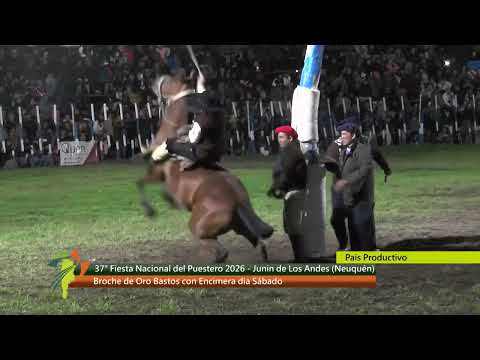Fiesta Nac. del Puestero.Junín de los Andes, Neuquén. Broche de Oro Cat. Bastos con Encimera. Sábado