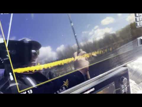 Humminbird Mega Live