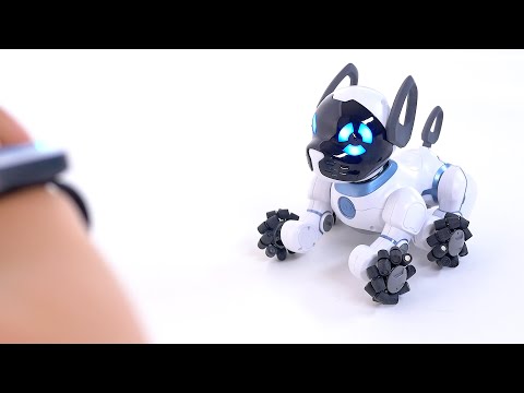 Tutorial: Getting Started with your CHiP Robot Dog!