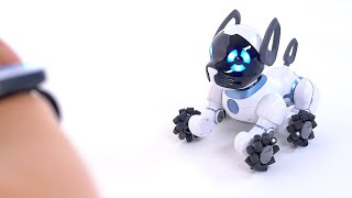 Tutorial: Getting Started with your CHiP Robot Dog!