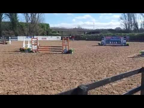 Top Quality Prospect - Image 2