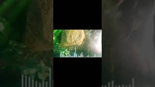 peguei suas coisas e suma gritou meu irmão. ele só não esperava o que aconteceria no dia seguinte