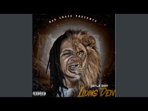 Jaylii Boy Hold On (feat. DB.Boutabag)