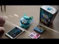 NEW Furby Boom Demonstration
