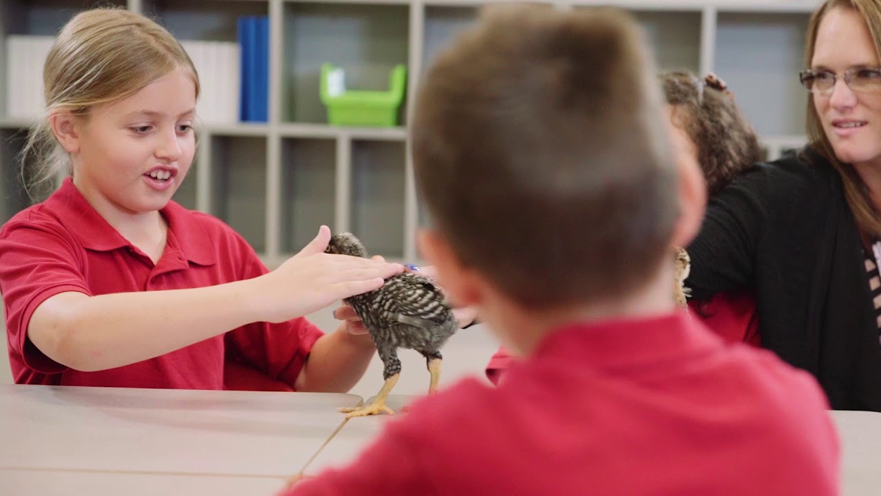 Vector Prep & Arts School