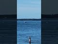 High Tide Bagua Zhang 🌊☯️✨ Christoph Eberhard