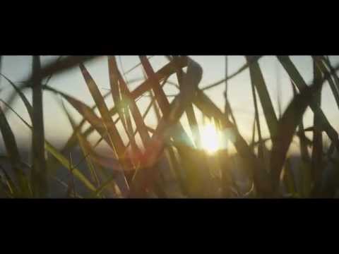 RED Dragon and Dog Schidt Optics TRUMP 38,58,88 lenses