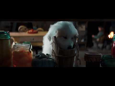 Belle et Sébastien 3 : Le dernier chapitre - Extrait "Les chiots"