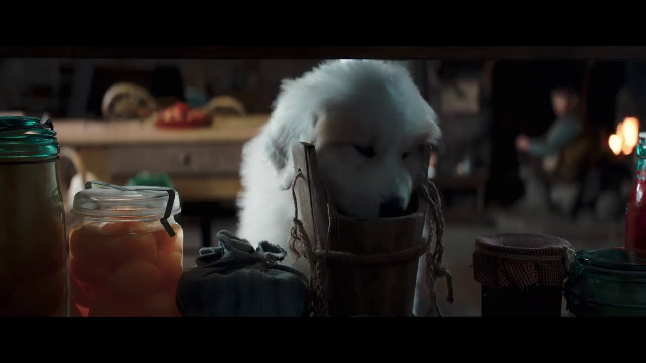 Miniature de la vidéo Belle et Sébastien 3 : Le dernier chapitre - Extrait "Les chiots" du film Belle et Sébastien 3 : Le Dernier Chapitre