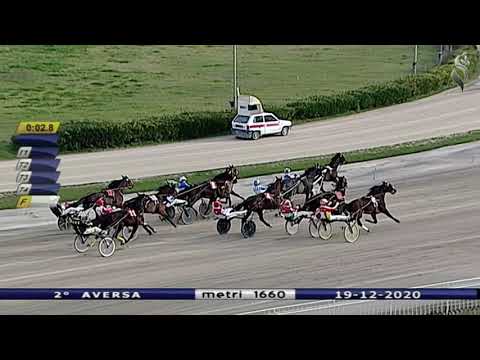 Aversa trotto 19 Dicembre 2020 - 2° Corsa