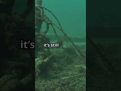 The Lost Nuclear Bomb – Georgia’s Underwater Mystery Exposed!