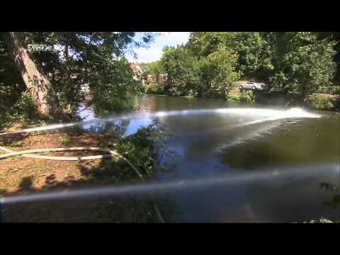 Fischsterben durch Düngemittel in der Jagst - Größte Flusswasservergiftung seit Jahrzehnten