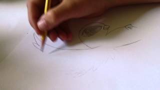Lets draw | ein süßer Vogel