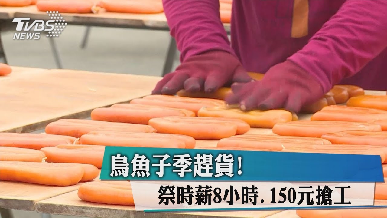 烏魚子季趕貨！　時薪1小時150元搶工
