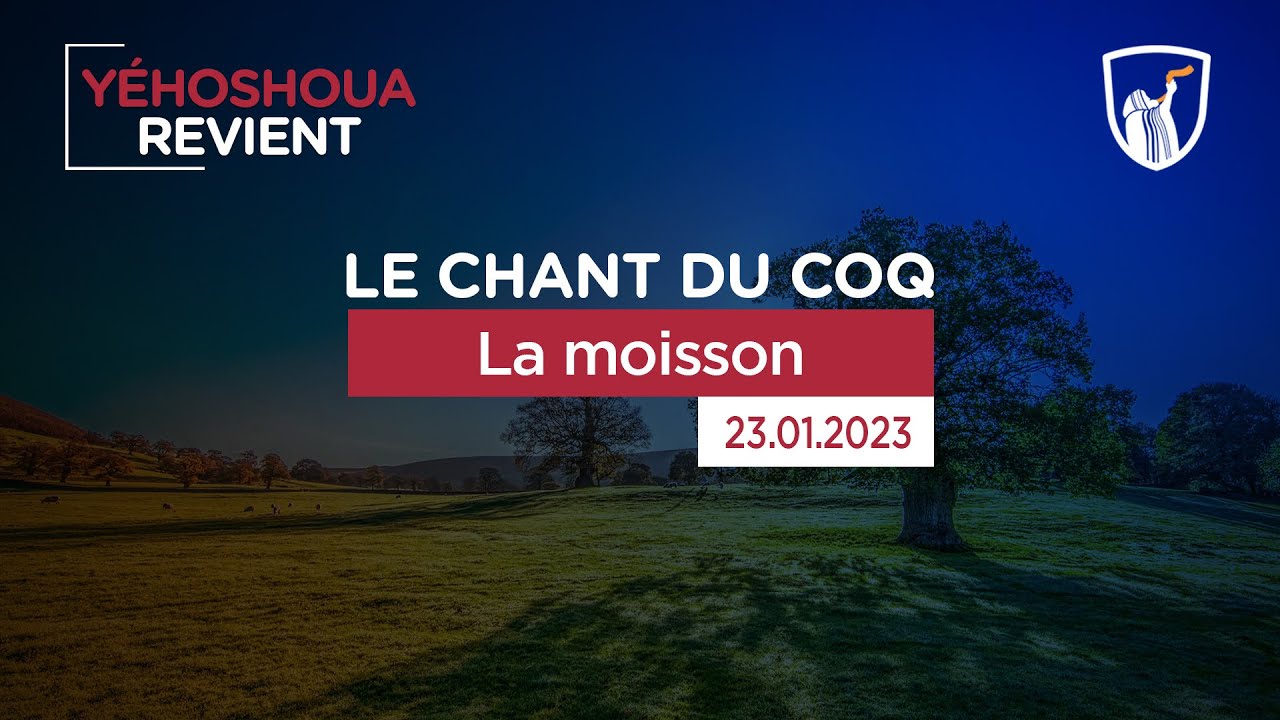 Thumbnail of video: La moisson