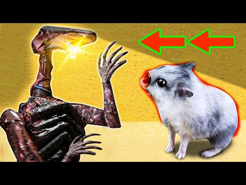 🐹 LIGHT HEAD Hamster Obstacle Course Maze with Traps 😱 + POLICE ROBOT