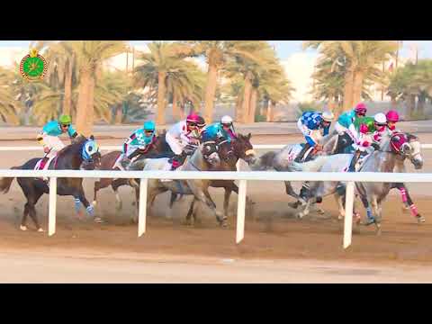 الشوط الثامن - السباق الرابع - 10/11/2018 - Race 4 8th meeting