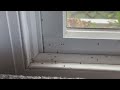 Window Flower Pot Causing Ant Infestation in Seaside Park, NJ