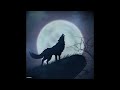 Wolf Howling Classic