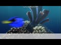 Finding Nemo Dory Meets Marlin