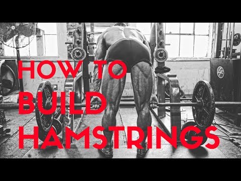 How to Maximize Peak Contraction of Your Hamstrings When Performing Lying Leg Curls
