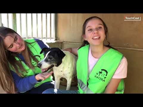 Kalima deutsch #adoptaysalva