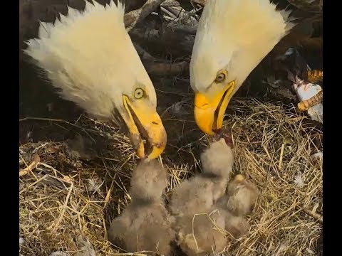 7-22-18 Sauces Canyon Season Tribute 2018 💓