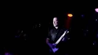 the Toasters - Mona (Live)