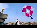 Flying Big Kite Catch Double Door Kite Caught Roof