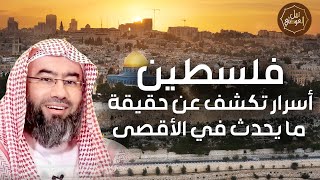 صورة نبيل العوضي | حقيقة ما يحدث في المسجد الاقصي | تحرير فلسطين 2023