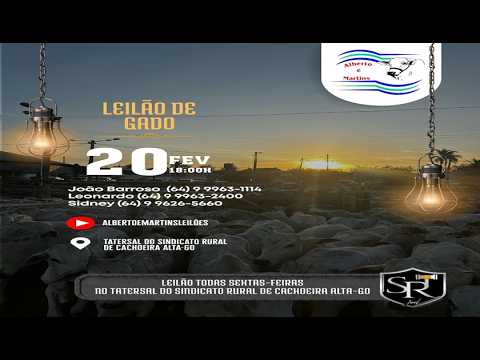 LEILÃO ALBERTO e MARTINS 20/02/2026 AS 18:00 hs em Cachoeira Alta Go.