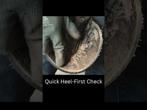 Quick Way to Tell Heel First Landing