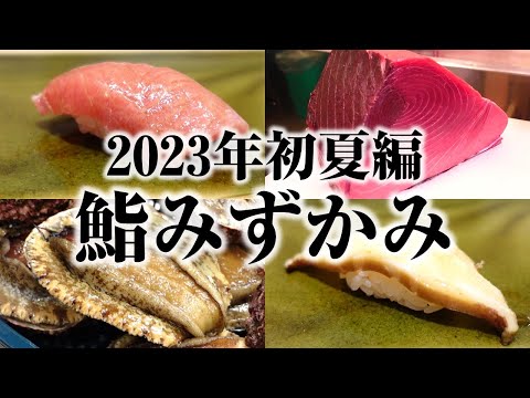 Principios de verano [Sushi Mizukami] ¡Todos los nigiri de principios del verano de 2023 saldrán de la compra!